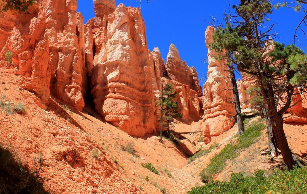 2011 – Grand Canyon et Bryce Canyon