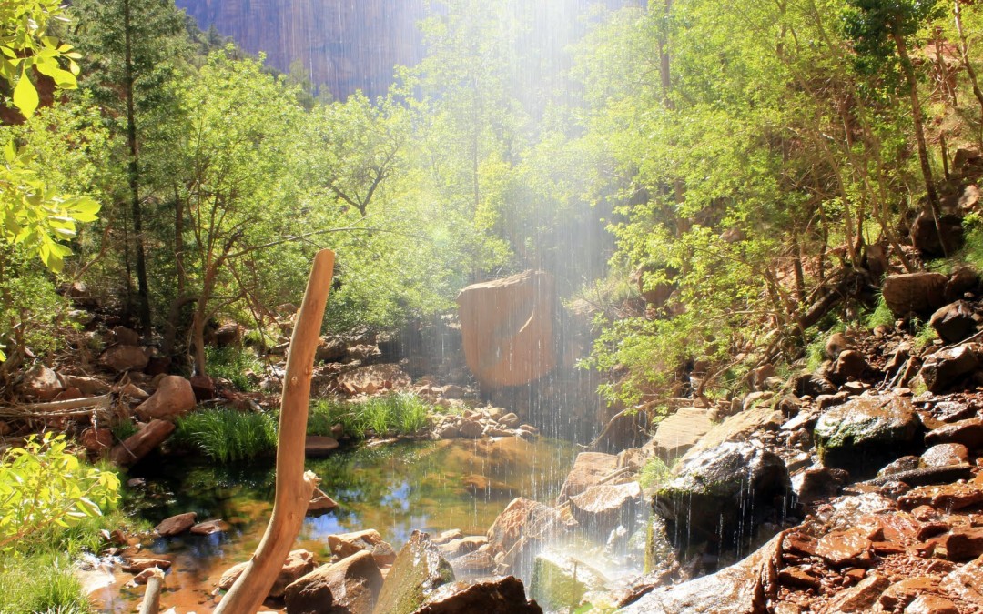 2011 – Le parc National de Zion